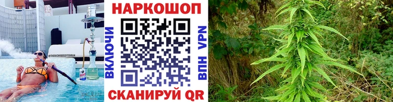 Виды наркотиков купить Балахна ГАШ  Галлюциногенные грибы  Мефедрон  МАРИХУАНА  АМФЕТАМИН 