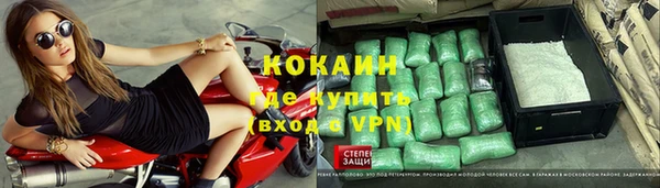 PSILOCYBIN Рославль
