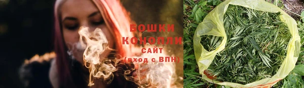 PSILOCYBIN Рославль