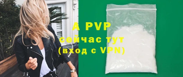 хмурый Россошь