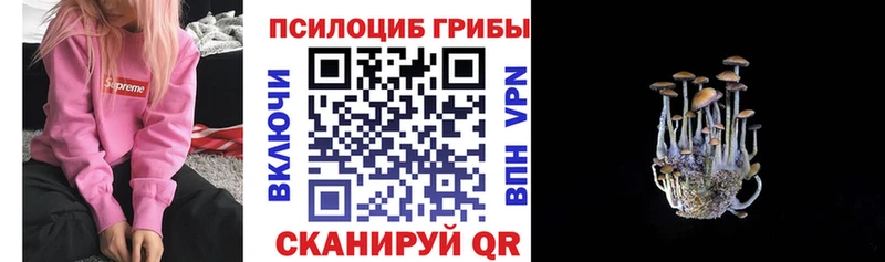 купить закладку  Балахна  Галлюциногенные грибы ЛСД 